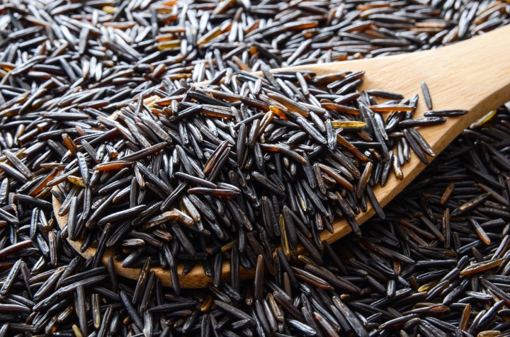 A wooden spoon in a pile of wild rice