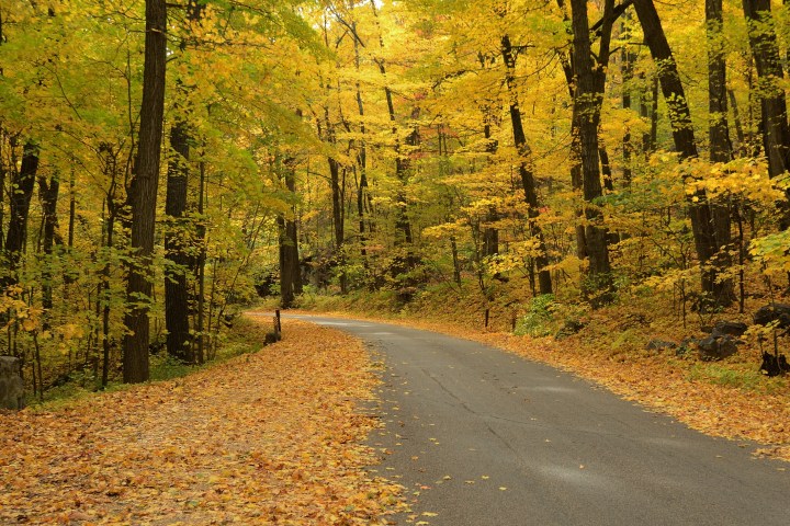 Autumn Colors Along a Rural Road in Devils Lake State Park near Baraboo, Wisconsin