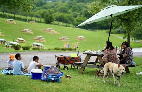 You Can Drink Wine With Your Pup At Barrel Oak Winery In Virginia