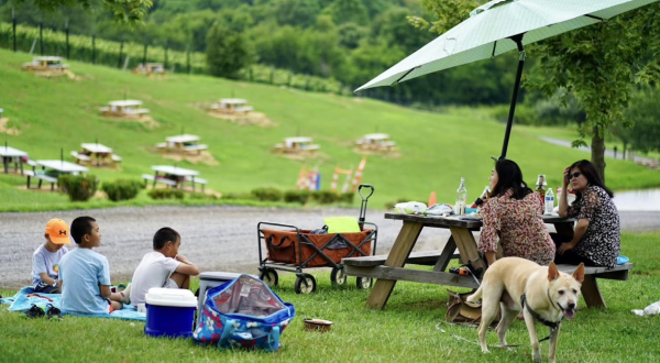 You Can Drink Wine With Your Pup At Barrel Oak Winery In Virginia