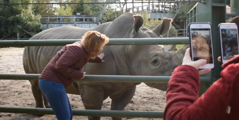 Play With Rhinos At The Virginia Zoo For An Adorable Adventure
