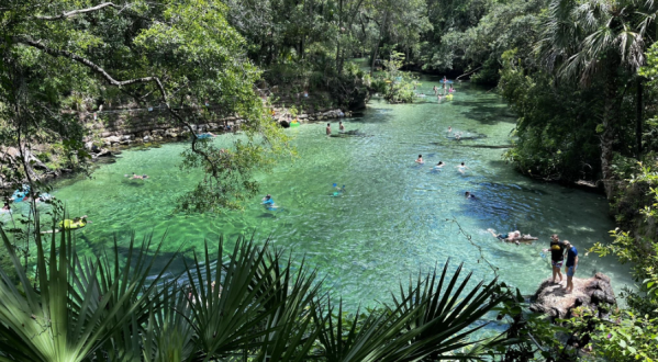 There Are More Manatees Than There Are Miles Along This Beautiful Hiking Trail In Florida
