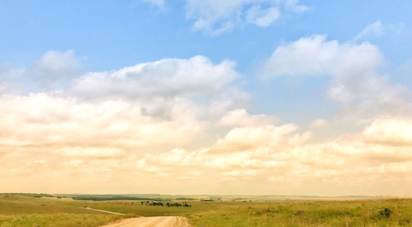 This Scenic Drive Runs Straight Through Oklahoma’s Tallgrass Prairie Preserve, And It’s A Breathtaking Journey