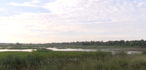 A Bit Of An Unexpected Natural Wonder, Few People Know There Are Wetlands Hiding In Oklahoma