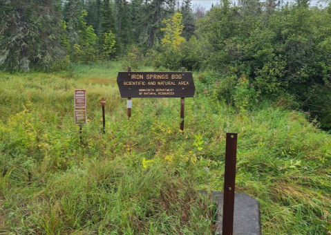 You Can Practically Walk On Water At This Minnesota Peatland Bog