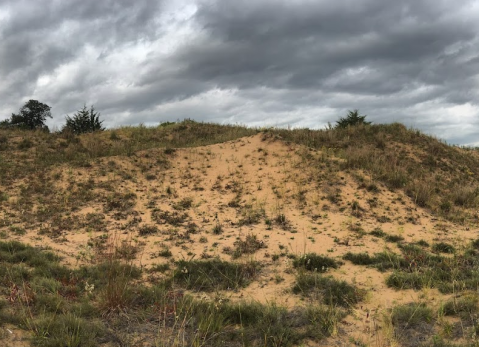 A Bit Of An Unexpected Natural Wonder, Few People Know There Are Sand Dunes Hiding In Minnesota