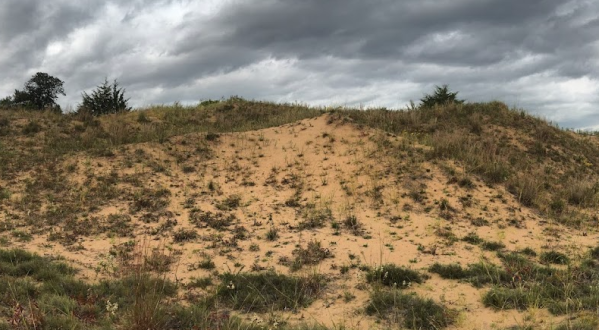 A Bit Of An Unexpected Natural Wonder, Few People Know There Are Sand Dunes Hiding In Minnesota