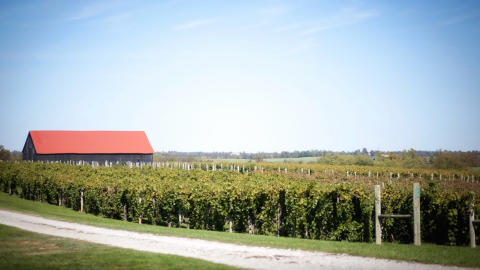 There's Little More Delightful Than A Spring Day Trip To This Beautiful Winery In Kentucky Horse Country