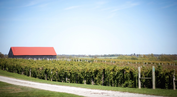 There’s Little More Delightful Than A Spring Day Trip To This Beautiful Winery In Kentucky Horse Country