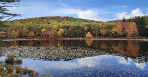 This Scenic Drive Runs Straight Through New York's Harriman State Park, And It's A Breathtaking Journey
