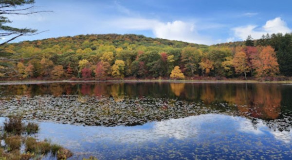 This Scenic Drive Runs Straight Through New York’s Harriman State Park, And It’s A Breathtaking Journey