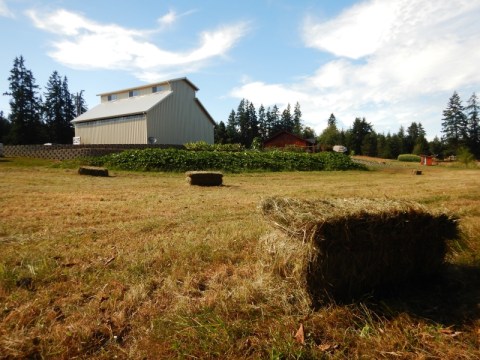 Enjoy A Farm-To-Glass Brewing Experience At This Unique Brewery In Washington