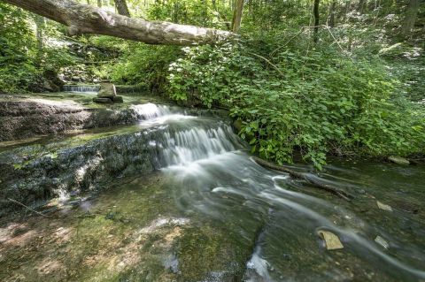 The 1-Mile Leonard Springs Loop Trail In Indiana Is Full Of Jaw-Dropping Natural Views