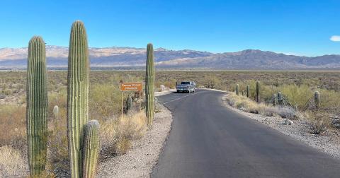 This Scenic Drive Runs Straight Through Arizona's Saguaro National Park, And It's A Breathtaking Journey
