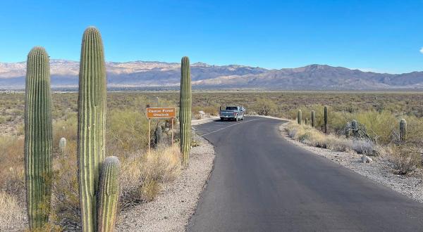 This Scenic Drive Runs Straight Through Arizona’s Saguaro National Park, And It’s A Breathtaking Journey