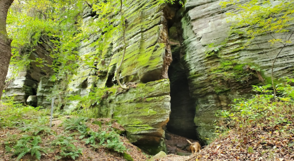 You’d Never Know One Of The Most Incredible Natural Wonders In Ohio Is Hiding In This Greater Cleveland Park