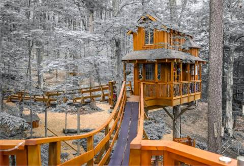 12 Best Treehouse Rentals In The USA For An Adventurous Getaway