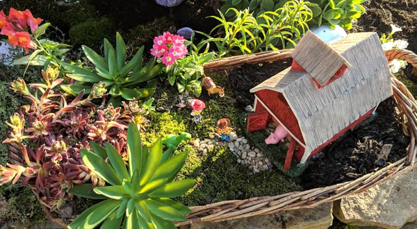 Full Of Whimsy And Wonder, The Ohio Fairy Gardening Festival Is One Magical Event You Can’t Miss