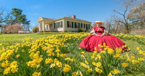 The Springtime Jonquil Festival In Arkansas That’s Unlike Any Other