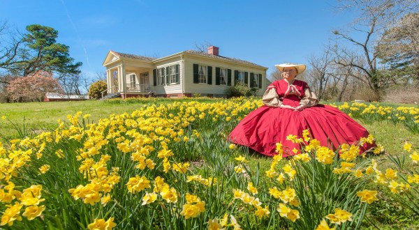 The Springtime Jonquil Festival In Arkansas That’s Unlike Any Other