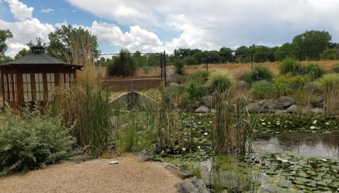 This Beautiful Riverside Botanical Garden In Colorado Is A Sight To Be Seen