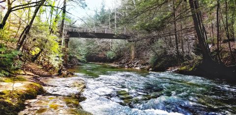 The 0.2-Mile Kinlock Falls Trail In Alabama Has A Jaw-Dropping Natural Pool