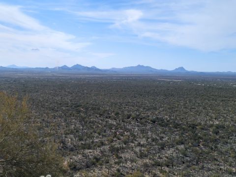 Arizona's Valley View Overlook Trail Is One Of The Best Hiking Summits for Viewing Saguaro National Park