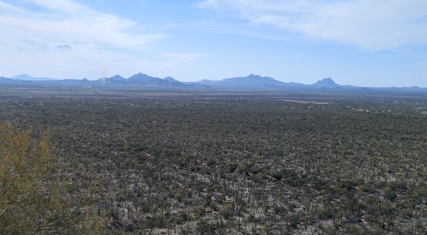 Arizona’s Valley View Overlook Trail Is One Of The Best Hiking Summits for Viewing Saguaro National Park