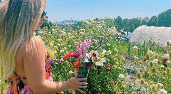 Pick Your Own Flowers At This Charming Farm Hiding In South Carolina