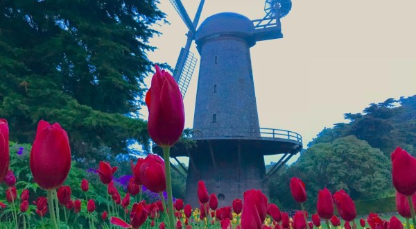 There Are Two Historic Windmills Hiding Right Here In Northern California And You’ll Want To Plan Your Visit