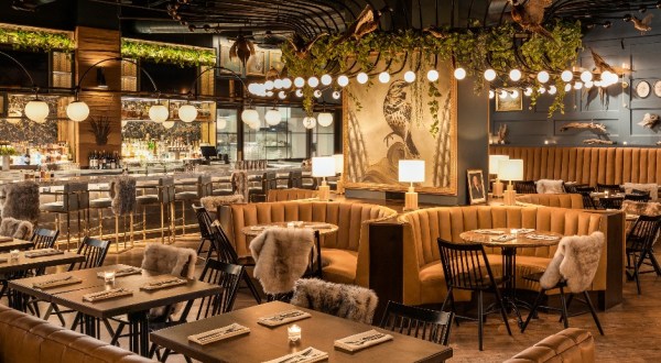 This Swanky Fine Dining Restaurant In Arizona Is Marvelously Moody