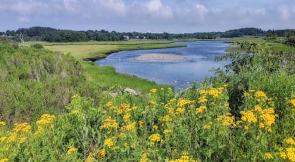 Rhode Island’s Sapowet Marsh Is Too Beautiful For Words