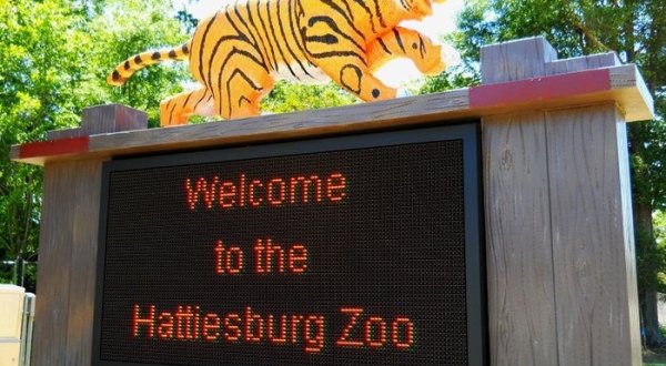 The Hattiesburg Zoo In Mississippi Is The Perfect Day Trip Destination