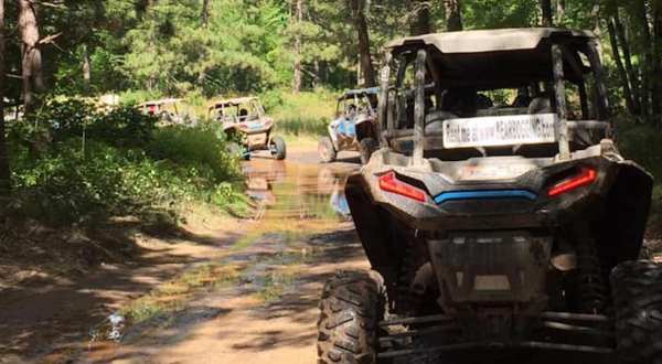 Rent A UTV In Wisconsin And Go Off-Roading Through Black River State Forest