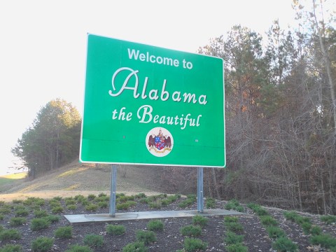 Few People Know The Real Reason Why Alabama Is Nicknamed The Yellowhammer State