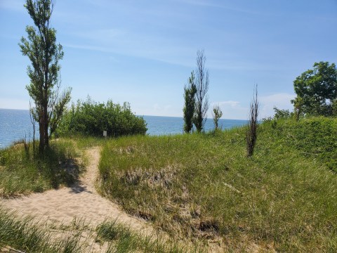 Kirk Park Loop Is A Magical Trail In Michigan That You Thought Only Existed In Your Dreams