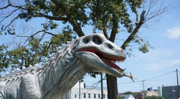 Come Face-To-Face With Dinosaurs At The Incredible Jurassic Encounter In Virginia