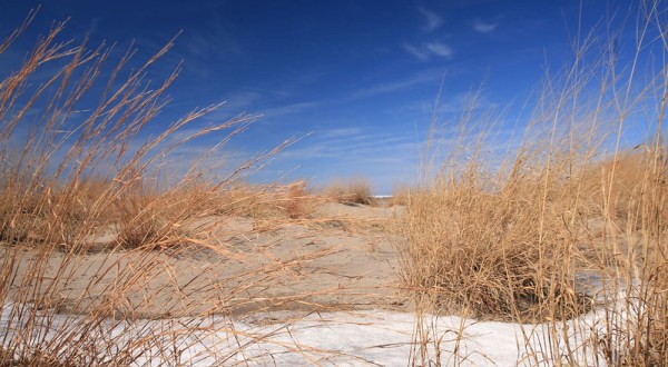 A Bit Of An Unexpected Natural Wonder, Few People Know There Are Sand Dunes Hiding In Ohio