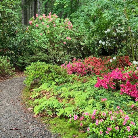 Lake Wilderness Arboretum Is A Magical Place In Washington That You Thought Only Existed In Your Dreams