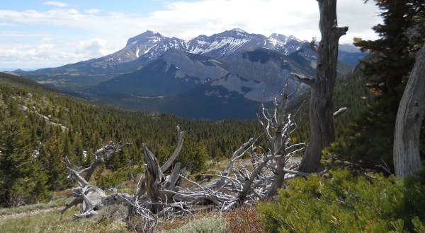 10 Beautiful Montana Campgrounds That Are Open Year Round