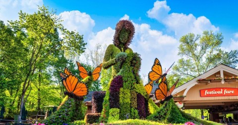 Enjoy The Most Colorful Spring Festival In Tennessee At The Flower And Food Festival In Dollywood