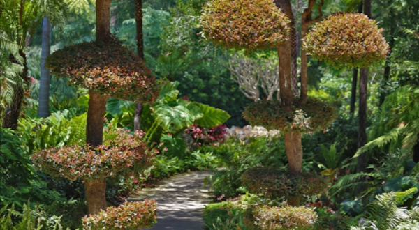 Lotusland Is A Magical Place In Southern California That You Thought Only Existed In Your Dreams