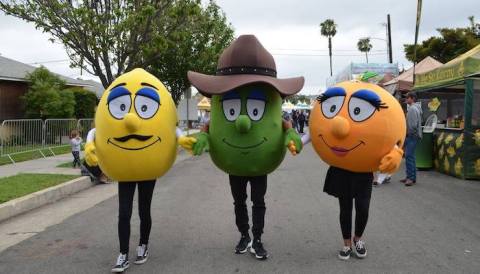 The La Habra Citrus Fair In Southern California Is A Fun, Free Treat For The Whole Family