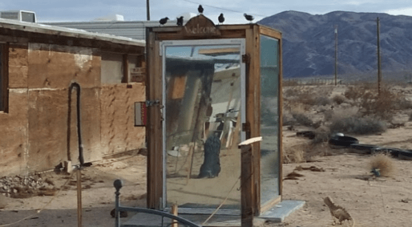 There’s A Glass Outhouse In Southern California, And It’s One Of The Quirkiest Places You’ll Ever Go