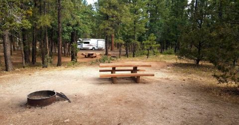 The Mather Campground May Just Be The Disneyland Of Arizona Campgrounds