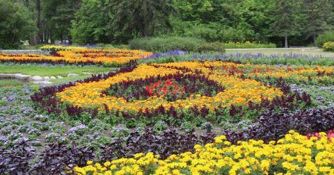 The Incredible International Peace Garden In North Dakota Is Full Of Blooms