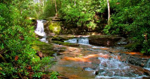 12 Easy Hikes To Add To Your Outdoor Bucket List In Georgia