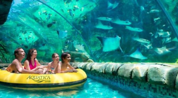 Take A Ride Through A Magical Aquarium On This Exciting Tubing Adventure At Aquatica In Texas