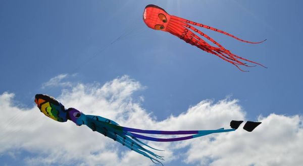 Enjoy The Most Colorful Spring Festival In Louisiana At Kite Fest Louisiane
