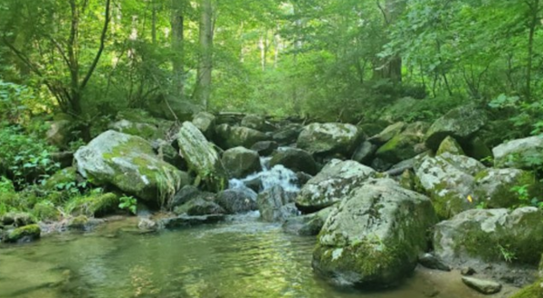 Texter Mountain Nature Preserve Is A Magical Place In Pennsylvania That You Thought Only Existed In Your Dreams